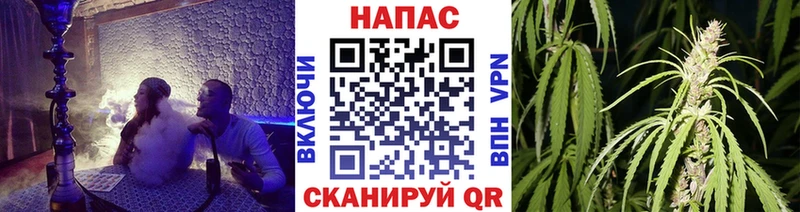как найти закладки  Тайга  Шишки марихуана MAZAR 
